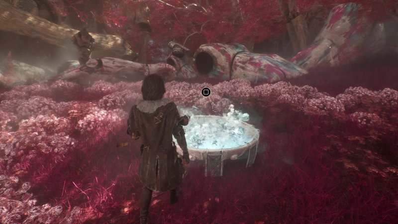 Clair Obscur: Expedition 33 - Si vous versez du chrome dans la fontaine des bois rouges
