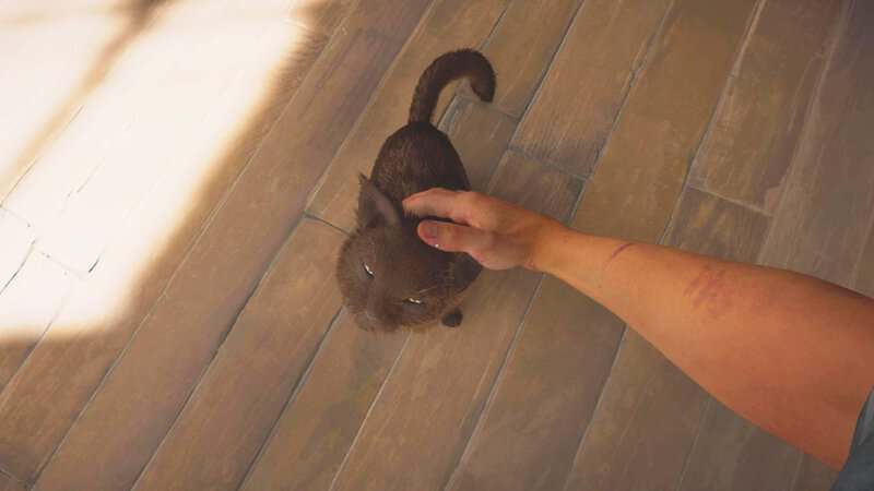 Indiana Jones et le grand cercle: l'Ordre des géants - où trouver le chat via giulia | Guide de réalisation des chats